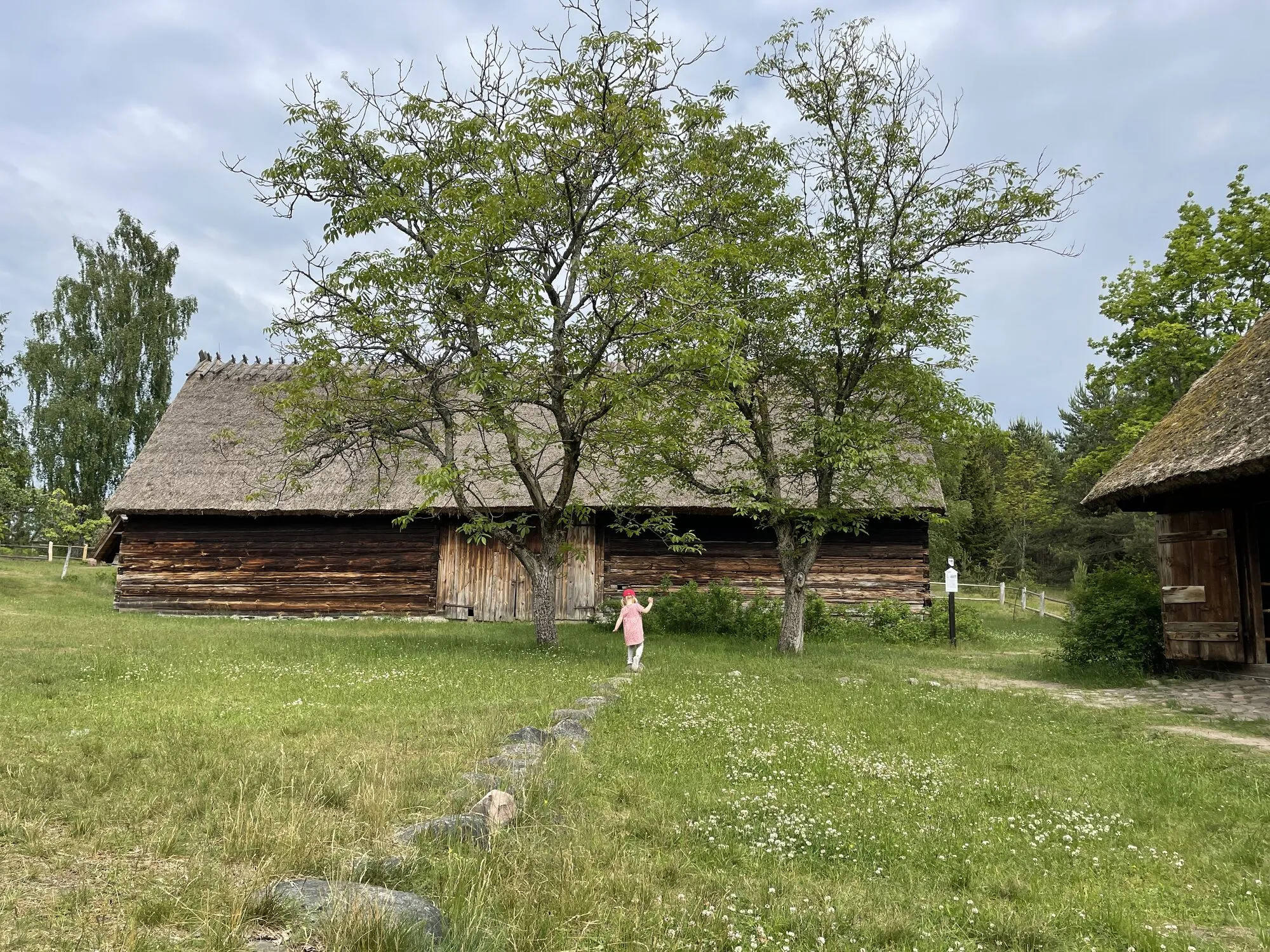 Drewniane chaty kryte strzechą i łąka w skansenie we Wdzydzach Kiszewskich, w oddali dziecko na ścieżce