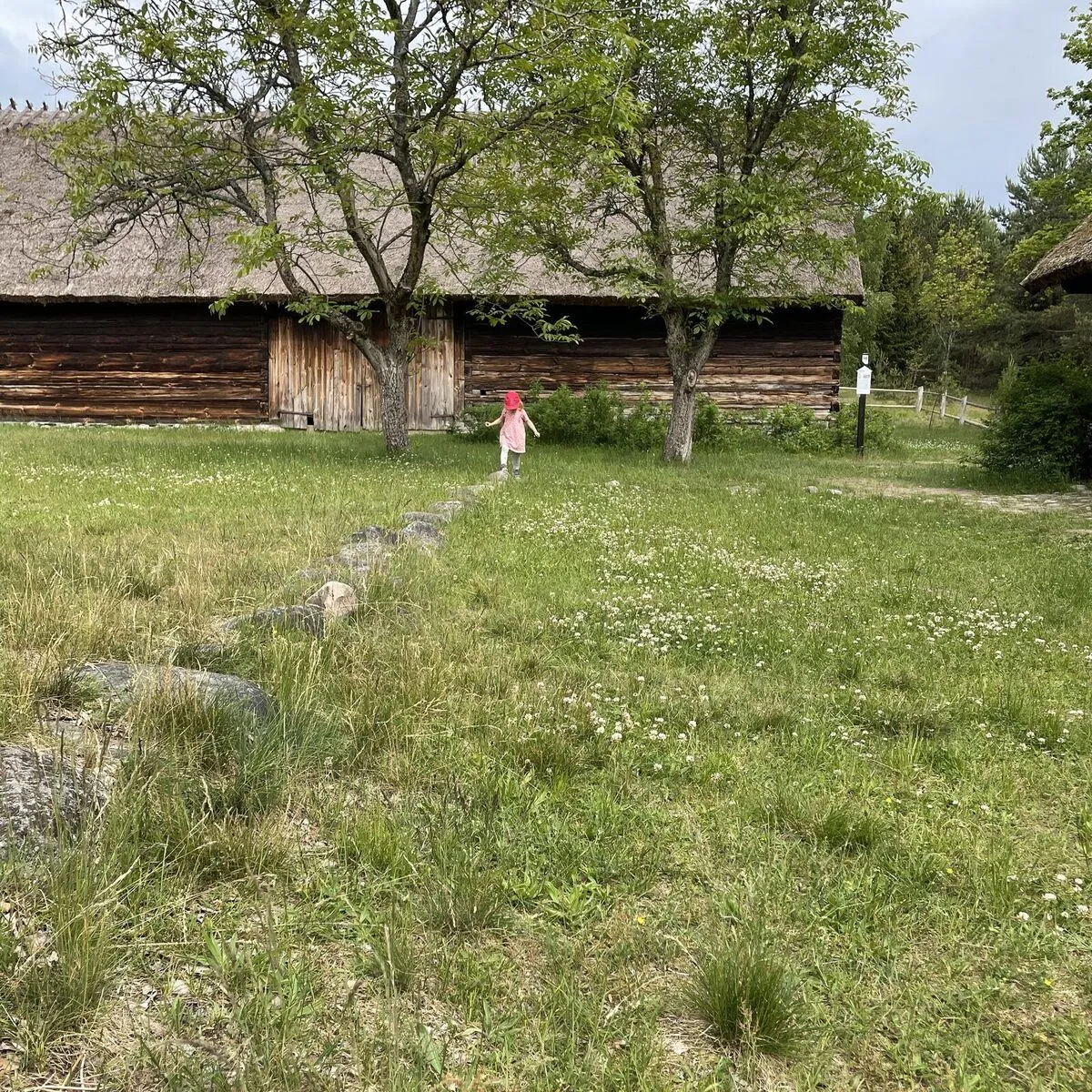 Chata kryta strzechą i łąka w skansenie we Wdzydzach Kiszewskich